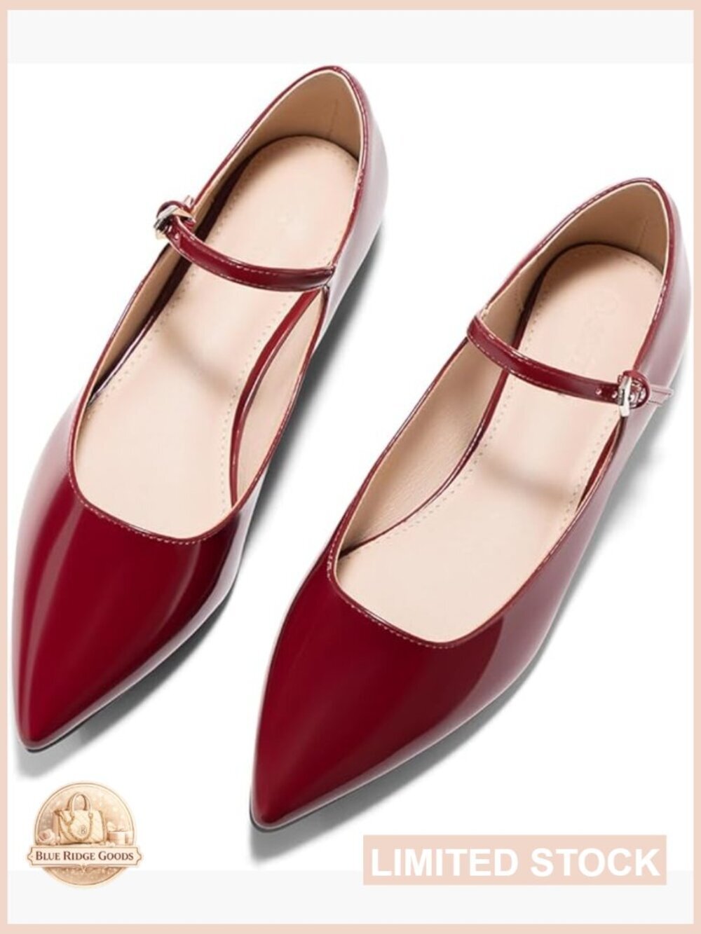 Women's Mary Jane Ballet Flats Pointed Toe Ankle Strap Comfort Work Shoes